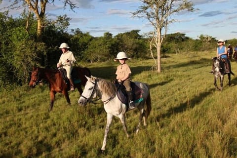 Cover image for the Antalya Horse Riding Experience experience