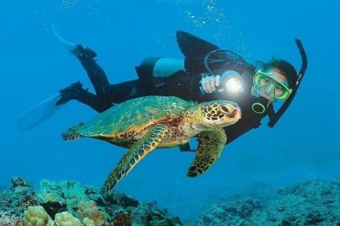 Cover image for the Kemer Scuba Diving and Snorkeling Trip experience
