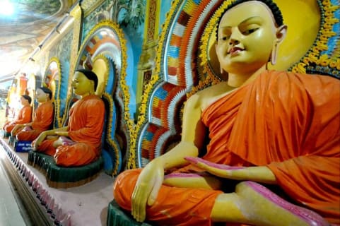 Cover image for the Half-Day Negombo City Tour with Ayurvedic Massage & Local Lunch experience