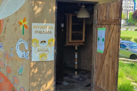 Cover image for the Honey Wine Drink in Stunning  Art Beehive Installation  experience