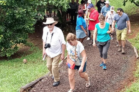 Cover image for the Private Grenada Spice Tour: Explore Laura’s Herb & Spice Garden experience