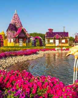 Cover image for the Dubai : Miracle Garden, The World's Largest Flower Paradise experience