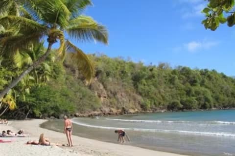 Cover image for the Island Escape: Discovering Grenada's Private Paradises experience