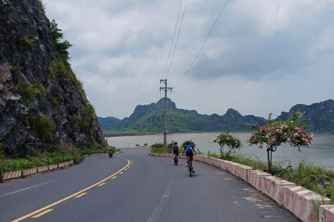 Cover image for the Half-Day Cycling Tour on Cat Ba Island experience