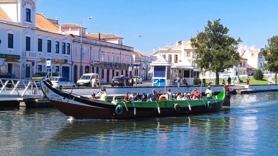 Cover image for the Private car transfer from Porto to Aveiro experience