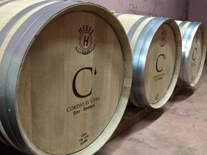 Cover image for the Standard visit in English experience