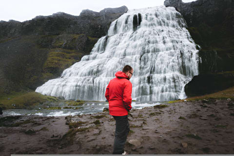 Cover image for the Private Dynjandi Waterfall & Farm Tour: Pickup from Isafjordur experience
