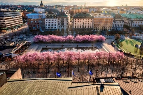 Cover image for the Stockholm: Guided Bike Tour experience