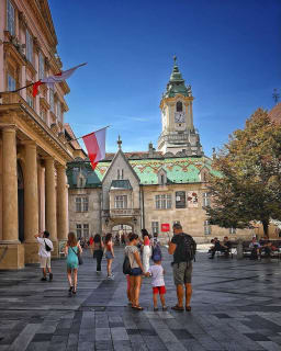 Cover image for the Bratislava From Vienna By Bus With Coffee & Cake experience