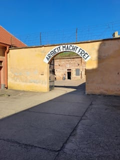 Cover image for the Excursión al Campo de Concentración Terezín experience