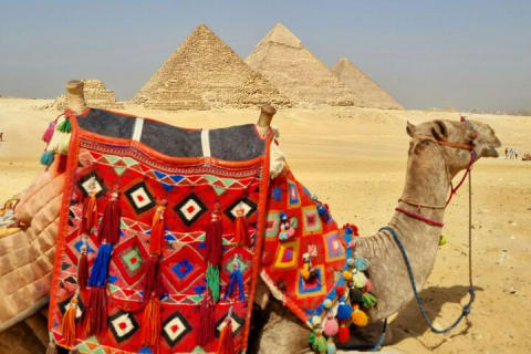Cover image for the Exclusive Pyramids,Camel Rides, Desert Bikes & Nile fluecca experience