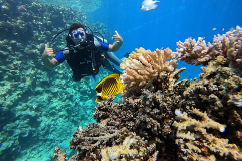 Cover image for the Scuba Diving Discovery Experience experience