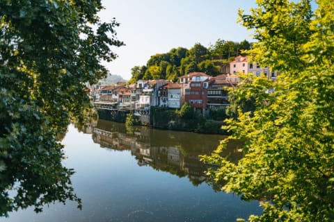 Cover image for the Porto: Douro Valley Wine tour with Lunch, Tastings & River Cruise experience