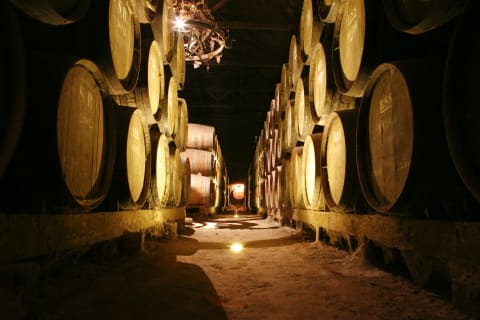 Cover image for the Sesimbra, Arrabida & Wine Tasting (group tour) experience