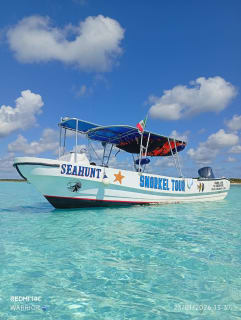 Cover image for the Snorkel Compartido al Cielo en Cozumel / Shared Sky Snorkell in Cozumel experience