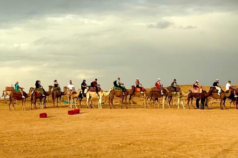 Cover image for the Majestic Agafay Exclusive Desert Experience experience