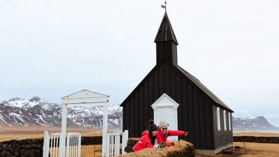 Cover image for the Grundarfjordur Port: Small Group Snaefellsnes Peninsula from Cruise Terminal experience