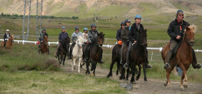 Cover image for the Horse Riding & Golden Circle experience