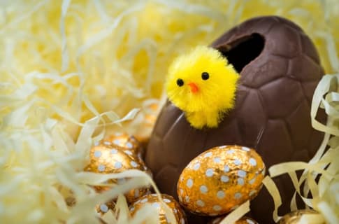Cover image for the Gray Line Iceland - All you need to know about Easter in Iceland experience