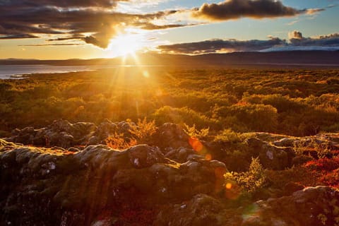 Cover image for the What to Do in Iceland in October experience