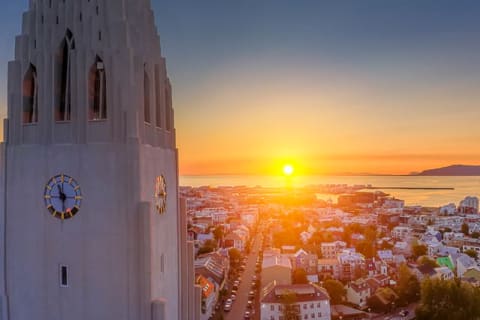 Cover image for the Gray Line Iceland - What to Do in Reykjavik If You Are...? experience