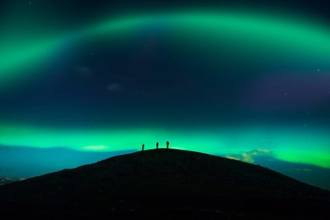 Cover image for the Gray Line Iceland - Sophus Thomholt and the Northern Lights experience