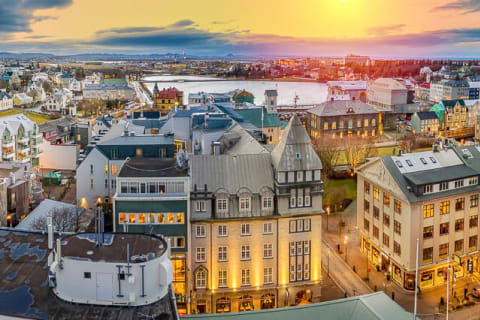 Cover image for the Gray Line Iceland - March in Iceland is Full of Fun! experience