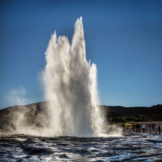 Cover image for the Gray Line Iceland - Haukadalur Valley experience