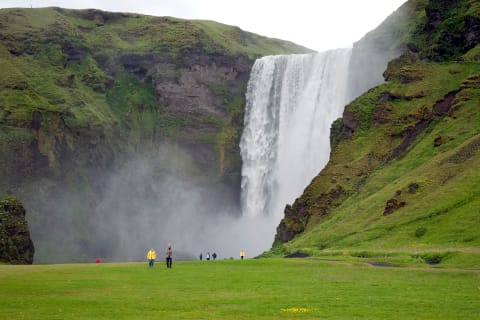Cover image for the Gray Line Iceland - Guide to the South Coast experience