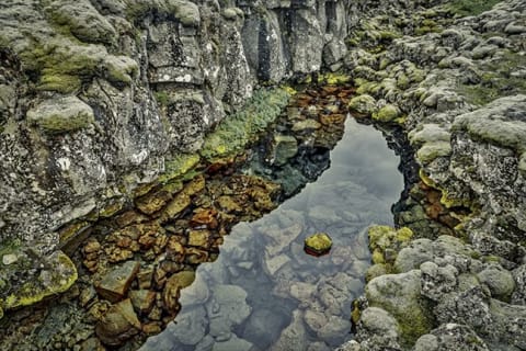 Cover image for the Gray Line Iceland - Photographing the Golden Circle & South Coast experience