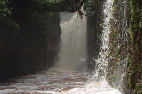 Cover image for the Amazon Waterfalls - Presidente Figueiredo experience