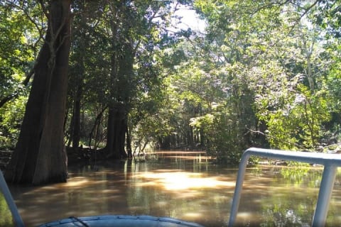 Cover image for the 4 Days Amazon Jungle Adventure Tour experience