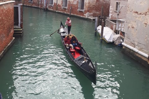 Cover image for the Venice 1 day tour from Milan by high speed train experience
