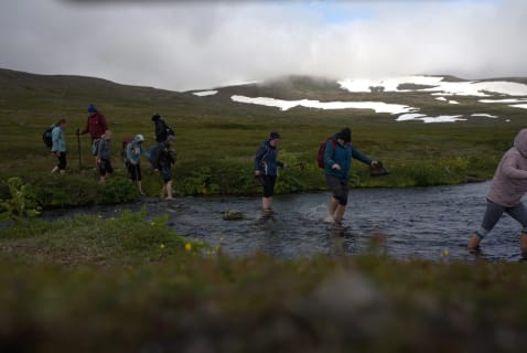 Cover image for the The Prime Hiking Destination - Hornstrandir hike (Hesteyri - Aðalvík) experience