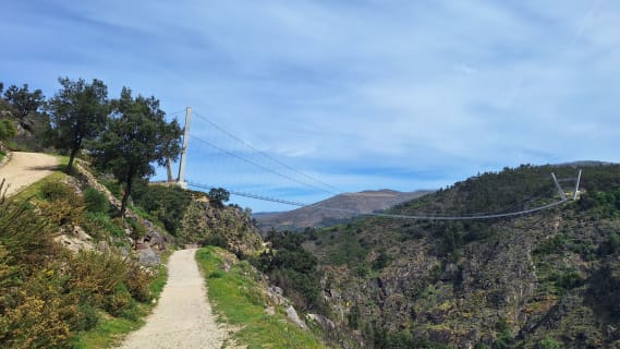 Cover image for the Private Paiva Walkways, 516 Bridge and Wine Tasting Tour experience