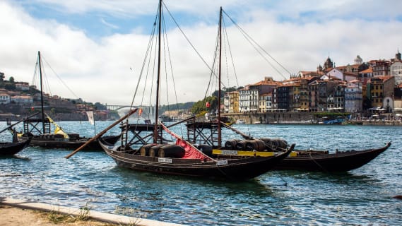 Cover image for the Private Porto Full-Day Tour: Cathedral, Lello and Wine Tastings experience