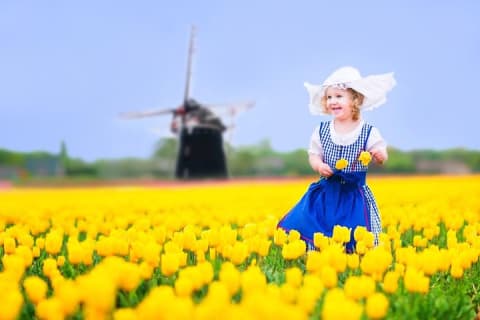 Cover image for the Delft and Keukenhof Gardens Tour from Brussels experience