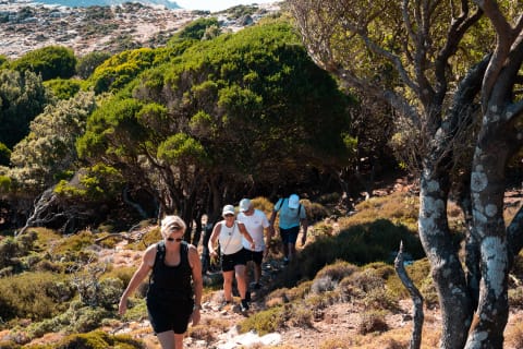 Cover image for the Randi's Forrest & Seychelles experience