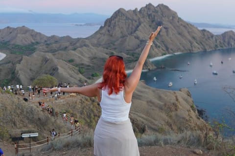 Cover image for the Full Day Komodo Island Hopping Tour from Labuan Bajo experience