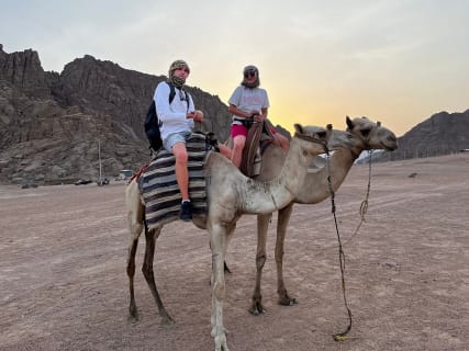 Cover image for the sharm el sheikh safari trip experience
