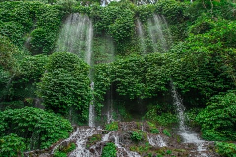 Cover image for the Benang Kelambu Waterfalls the Hidden Wonders of Lombok Island experience