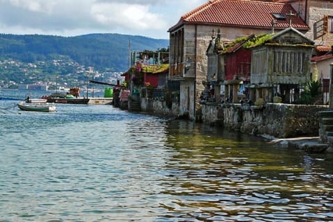 Cover image for the Excursion to Rias Baixas with Winery - Optional mussel boat experience