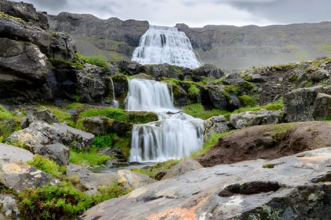 Cover image for the Dynjandi Waterfall and Farm Visit: Small Group Tour from Isafjordur Port experience