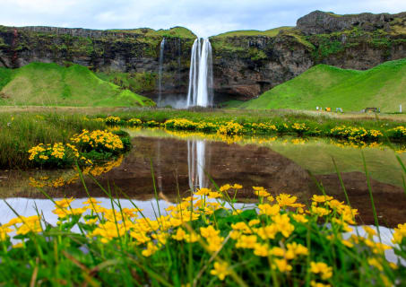 Cover image for the Iceland Summer Travel Made Easy experience
