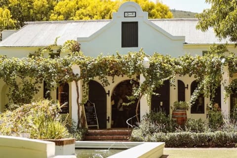 Cover image for the Big 5 Safari Cape Town & Wine Tasting  experience
