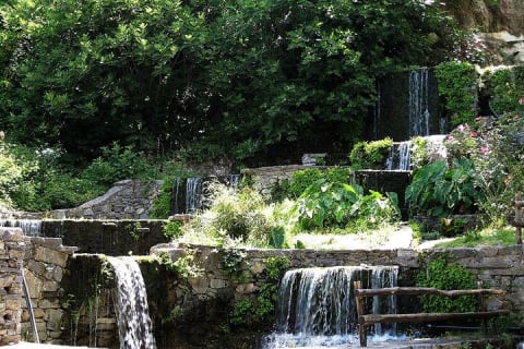 Cover image for the From Rethymno Argyroupolis village,Kournas Lake and OliveOil Tour experience
