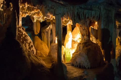 Cover image for the 5-Day Garden Route Private Safari Tour experience