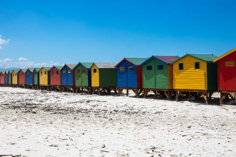 Cover image for the 8 Hour Best of the Cape Private Day Tour experience