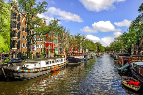 Cover image for the From Brussels to Amsterdam: Day Trip w/ Cheese, Clogs & Windmills experience