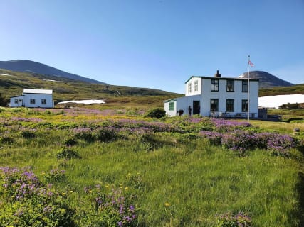 Cover image for the Hesteyri - Ísafjörður experience
